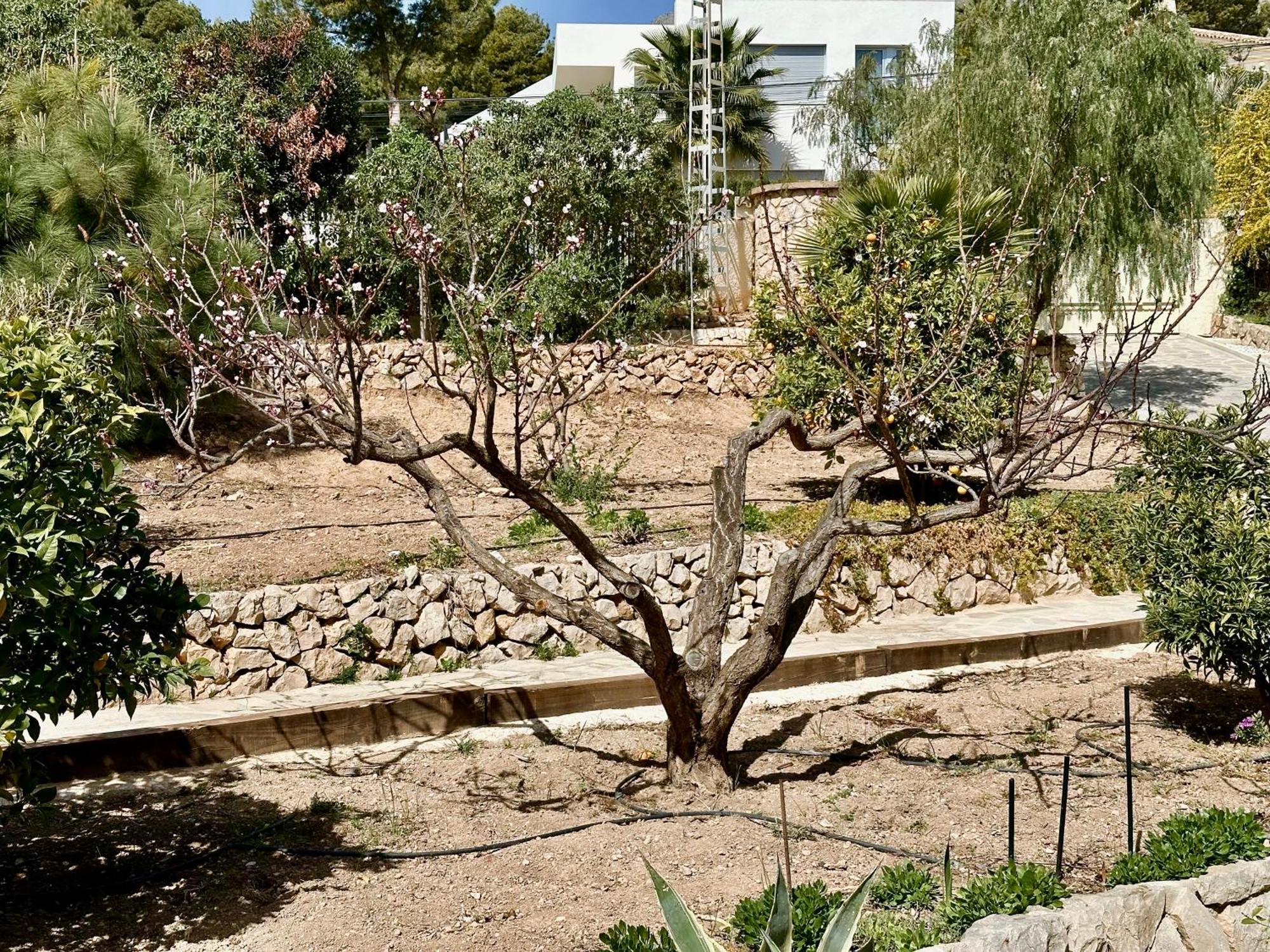 Villa Casa Puput Altea Exterior foto